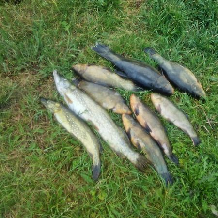 미아스트코 Eko-Fish 빌라 외부 사진