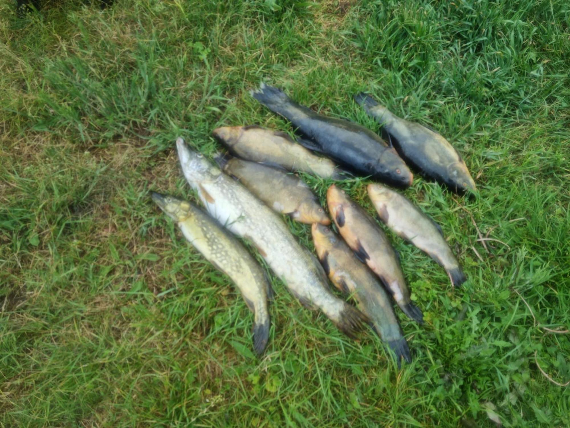 미아스트코 Eko-Fish 빌라 외부 사진